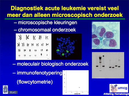 Acute myeloïde leukemie (AML incl. APL) dia 10