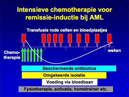 Acute myeloïde leukemie (AML incl. APL) dia 11
