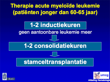 Acute myeloïde leukemie (AML incl. APL) dia 12