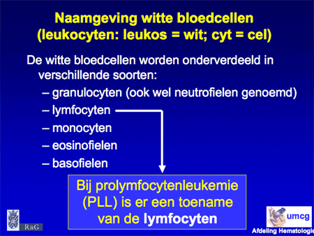 Prolymfocytenleukemie (PLL) dia 3
