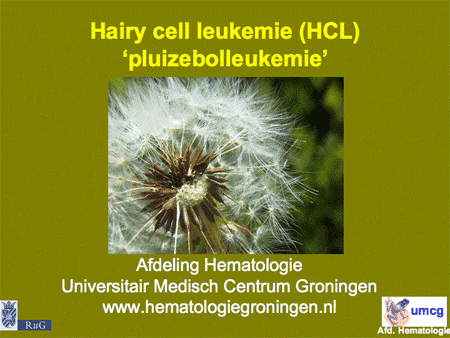 Hairy cell leukemie (HCL) dia 1