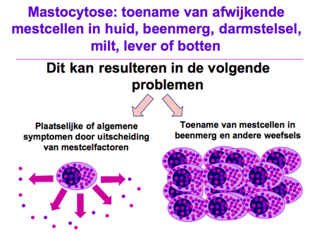 Mastocytose (mestcelziekte) dia 6